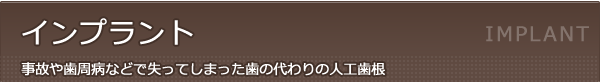 インプラント事故や歯周病などで失ってしまった歯の代わりの人工歯根